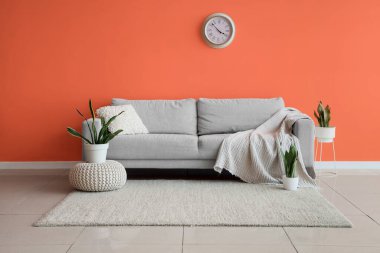 Gri kanepesi, saati ve bitkileri olan şık bir oturma odası.