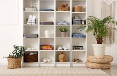 Giysileri, aksesuarları ve ışık duvarının yanında bitkileri olan büyük bir raf ünitesi.