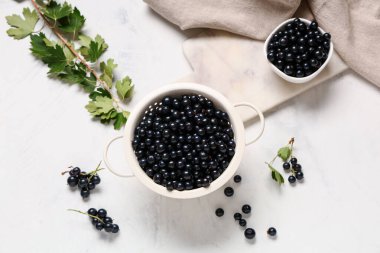 Beyaz arka planda taze siyah üzümlü kolatör ve kase.