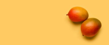 Sarı arka planda taze mangolar.