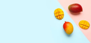 Renkli arkaplanda taze olgun mangolar ve metin için boşluk