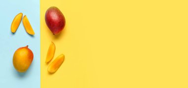 Renkli arkaplanda taze olgun mangolar ve metin için boşluk