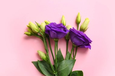 Pembe arka planda güzel, taze bir mutluluk, yakın plan.