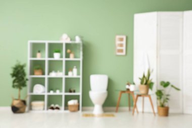 Raflarla kaplı seramik klozet, katlanan ekran ve tuvalette bitkiler