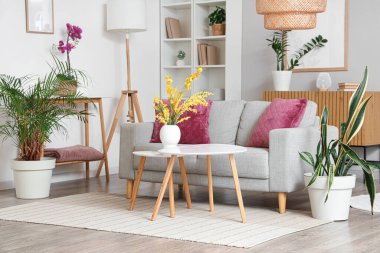 Oturma odasının içinde raflar, sehpalar ve kanepede mor yastıklar var.