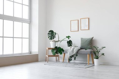 Yumuşak bank, boş çerçeve ve bitkilerle aydınlatma odasının içi