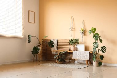 Odanın içinde ahşap bank ve yeşil bitkiler var.