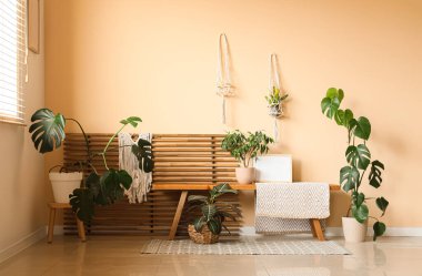 Odanın içinde ahşap bank ve yeşil bitkiler var.