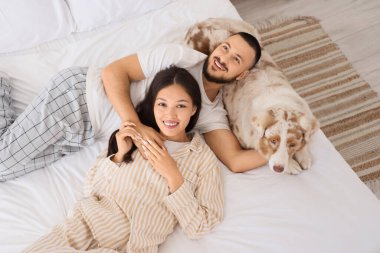 Avustralya çoban köpeği olan genç çift yatak odasında yatıyor.