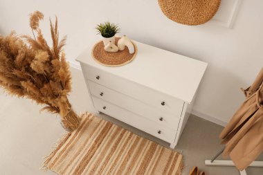 İçinde bitki olan vazolar koridorun iç kısmında klozette.