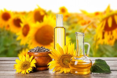 Yaz gününde güzel ayçiçeği tarlası