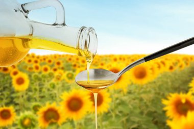 Beyaz arka planda şişeden kaşığa taze zeytinyağı dökülüyor.