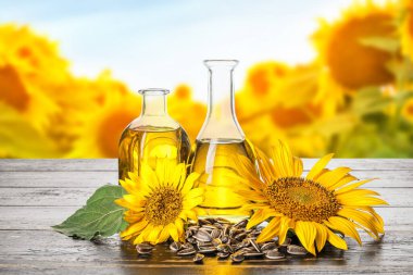 Yaz gününde güzel ayçiçeği tarlası