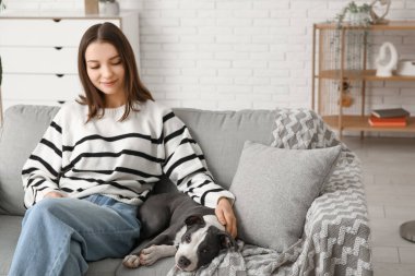 Evdeki kanepede oturan şirin bir teriyer köpeği olan genç ve güzel bir kadın.