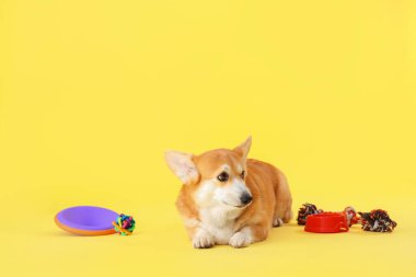 Farklı evcil hayvan aksesuarlarıyla şirin Corgi köpeği ve sarı arka planda yemek için kase.