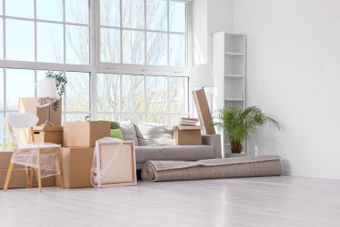 Mobilyalar, ev bitkileri ve karton kutular yeni dairede. Taşınma konsepti