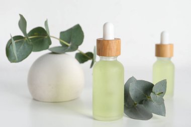 Okaliptüs şişeleri ile güzel kompozisyon esaslı yağ ve alçı beyaz arka planda duruyor, yakın plan