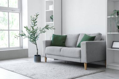 Oturma odasının içinde kanepe, zeytin ağacı ve raf üniteleri var.