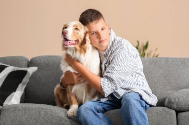 Avustralya çoban köpeği olan genç çocuk evdeki kanepede oturuyor.