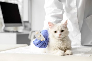 Veteriner veteriner veteriner veteriner kliniğinde asalak önleyici haplar tutuyor.