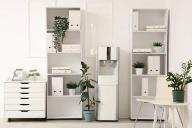 Ofiste klasörleri, çiçekleri ve su soğutuculu raflar