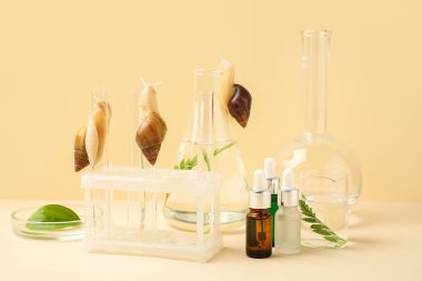 Bej arka planda Achatina salyangozları ve kozmetik ürünleriyle laboratuvar vitrinleri.