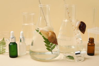 Bej arka planda Achatina salyangozları, bitkiler ve kozmetik ürünleri olan laboratuvar cam örnekleri.