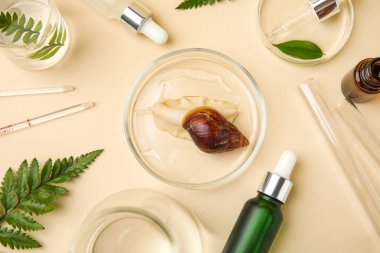 Bej arka planda Achatina salyangozu, bitkiler ve kozmetik ürünleri olan laboratuvar camları.