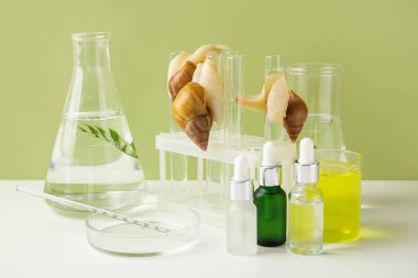 Yeşil duvarın yanındaki beyaz masada Achatina salyangozları ve kozmetik ürünleri bulunan renkli numunelerden oluşan bir laboratuvar.