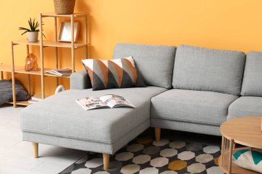 Rahat kanepesi, yastığı, raf ünitesi ve sehpası olan güzel bir oturma odası.