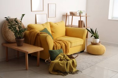 Yumuşak kanepe, ekose ve yastıklı sepet, duvarda çerçeveler ve oturma odasında bitkiler.