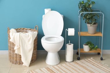 Tuvalet, çamaşır sepeti ve tuvaletteki bitkiler.