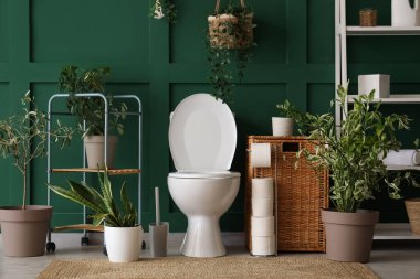 Tuvalet, çamaşır sepeti, saksılar ve raflar lavaboda.