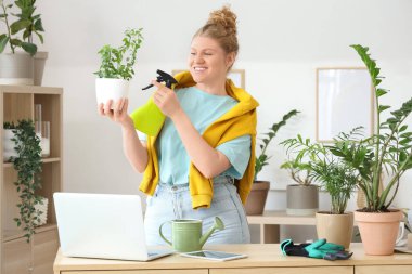 Evde yeşil bitkiler püskürten genç bir kadın.