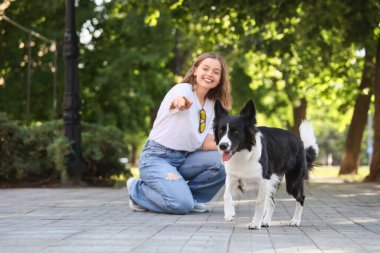 Güzel genç bir bayan dışarıda Collie 'nin sevimli köpeğiyle oynuyor.