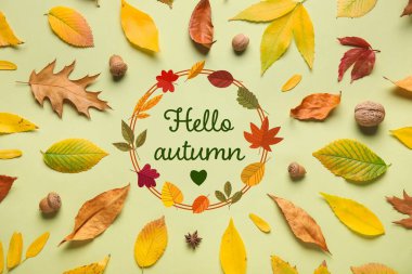 HELLO, AUTUMN, yeşil arkaplanda fındık ve yapraklar