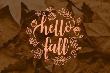 Arka plan olarak kurumuş yapraklar, yakın plan