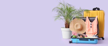 Ev bitkisi, mayolu bavullar, plaj aksesuarları ve eflatun arka planda dürbünler.