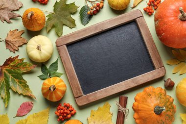 Renk arkaplanında boş karatahta, balkabağı ve doğal orman dekoru olan kompozisyon