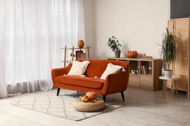 Rahat kanepe ve balkabaklarıyla modern oturma odasının içinde.