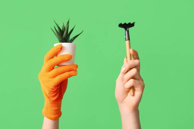 Bahçe tırmığı ve yeşil arka planda saksı bitkisi olan kadın eller, yakın plan.