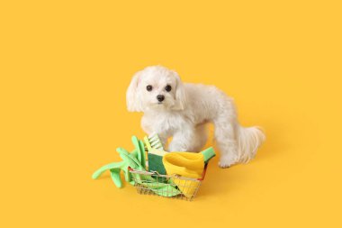 Şirin bir köpek ve sarı arka planda temizlik malzemeleri olan küçük bir alışveriş sepeti.