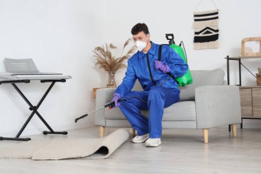 Erkek işçi odada halı dezenfekte ediyor.