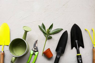 Gri arka planda bitki yetiştirme aletleri. Üst görünüm