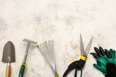 Beyaz grunge arka planda bahçe malzemeleri. Üst görünüm