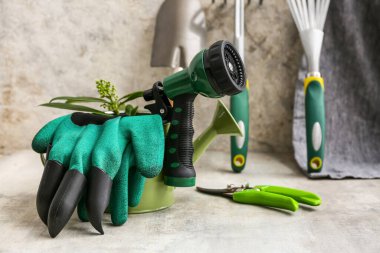 Gri grunge arka planda bahçe malzemeleri seti