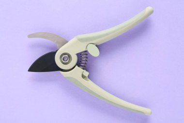 Mor arka planda bahçıvanlık yapan kesiciler