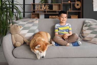 Little happy Asian boy with cute Corgi dog sitting on sofa at home