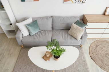 Modern interior of living room with grey sofa, chest of drawers and houseplant on table