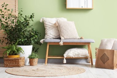 Şık bank, ev bitkileri, halı ve yastıklar yeşil duvarın yanında, aydınlık odada.